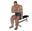 Reverse Curl - Seated Dumbbell Single